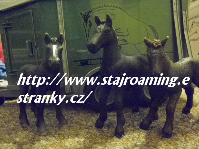 hribata-percheron-frís-camargue