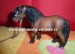 kobyla-dartmoor pony